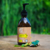 Čapovaný šampón na suché vlasy breza a citrónová tráva Tierra Verde